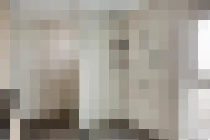 Hereweg 236 Meeden thumbnail 51