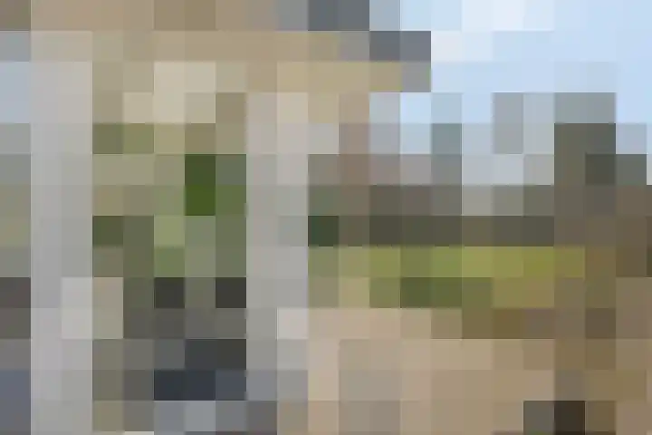 Hereweg 236 Meeden thumbnail 63