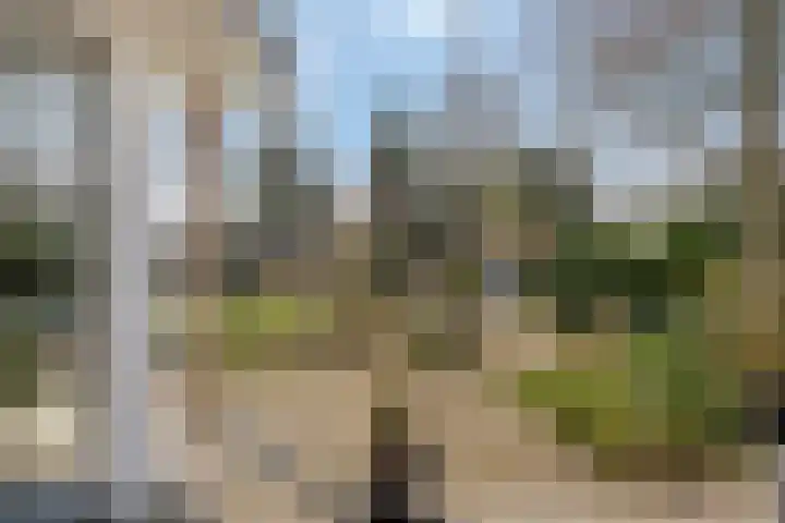 Hereweg 236 Meeden thumbnail 65