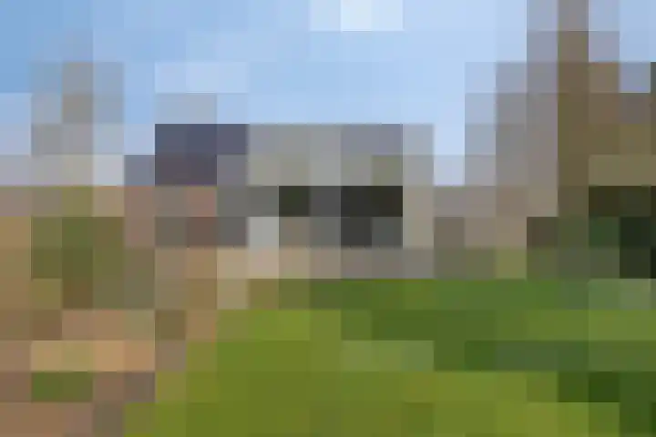 Hereweg 236 Meeden thumbnail 68