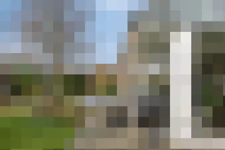 Hereweg 236 Meeden thumbnail 71