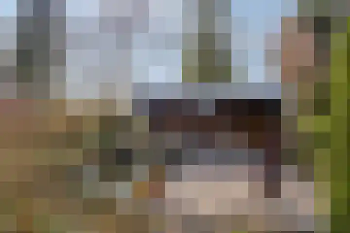 Hereweg 236 Meeden thumbnail 73