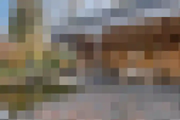 Hereweg 236 Meeden thumbnail 74