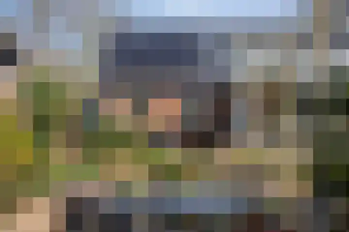 Hereweg 236 Meeden thumbnail 77