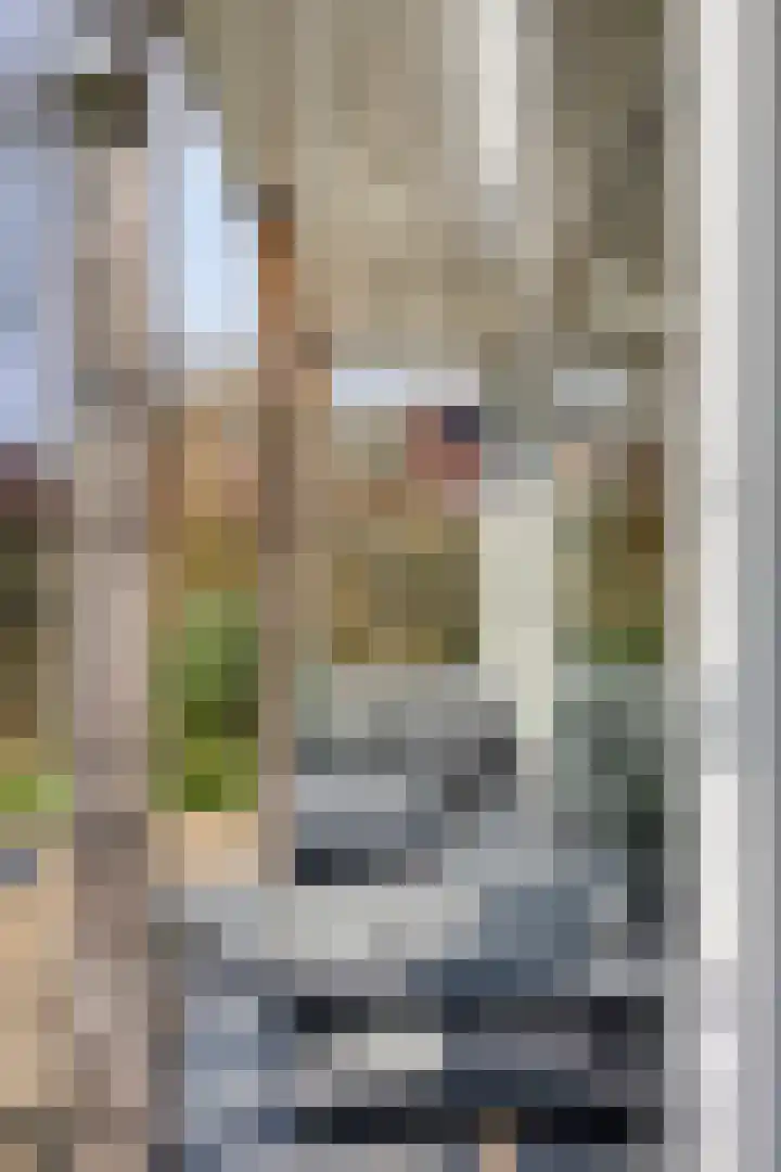 Hereweg 236 Meeden thumbnail 80