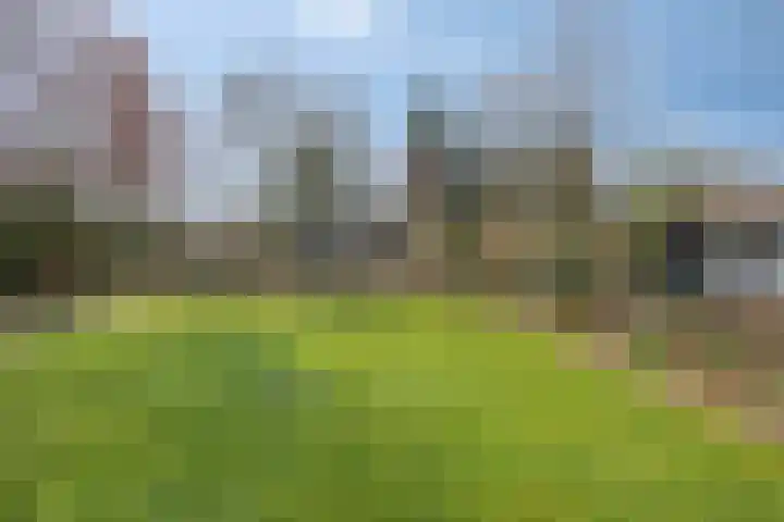 Hereweg 236 Meeden thumbnail 81