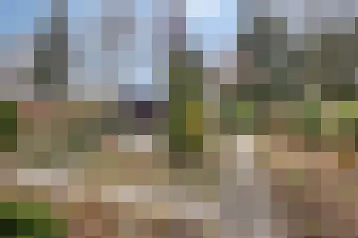 Hereweg 236 Meeden thumbnail 83