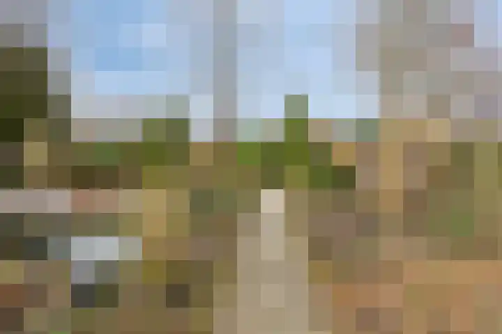 Hereweg 236 Meeden thumbnail 84