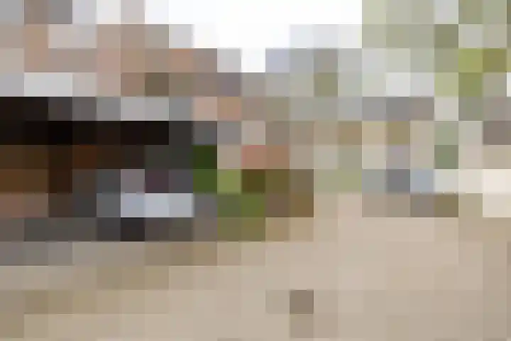 Hereweg 24 Groningen thumbnail 26