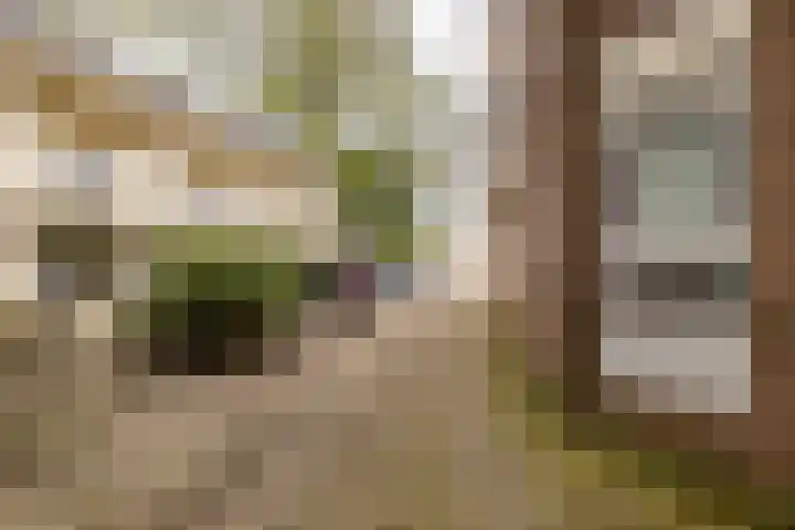 Hereweg 24 Groningen thumbnail 29