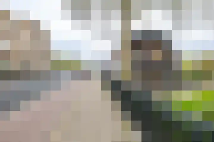 Hereweg 24 Groningen thumbnail 32