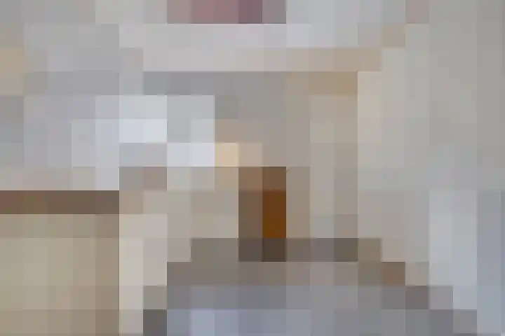 Hereweg 243 Meeden thumbnail 23