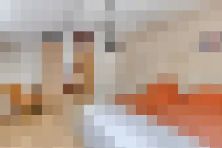 Hereweg 243 Meeden thumbnail 26