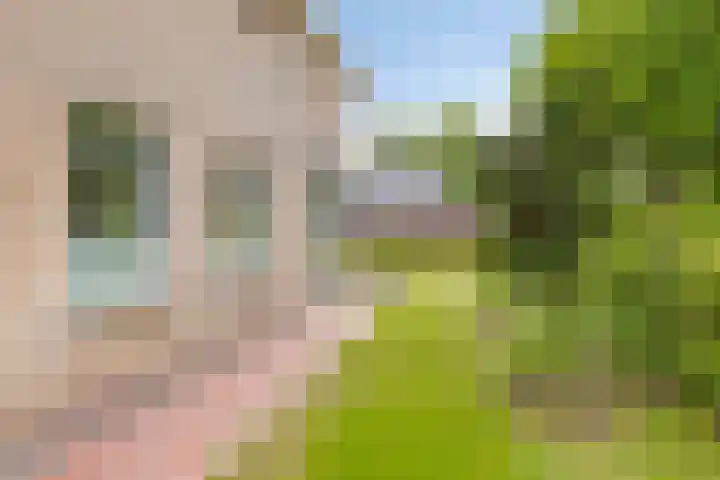 Hereweg 243 Meeden thumbnail 32