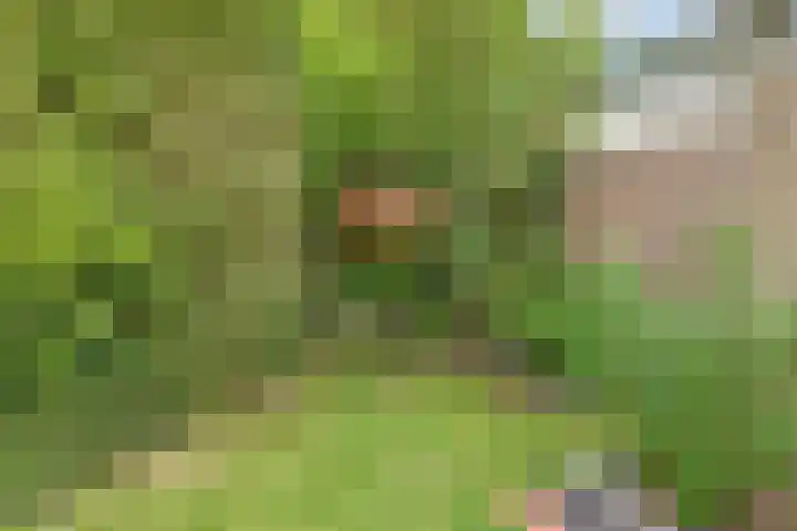 Hereweg 243 Meeden thumbnail 33