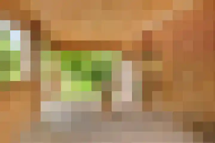 Hereweg 243 Meeden thumbnail 34