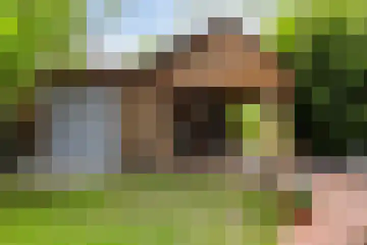 Hereweg 243 Meeden thumbnail 35