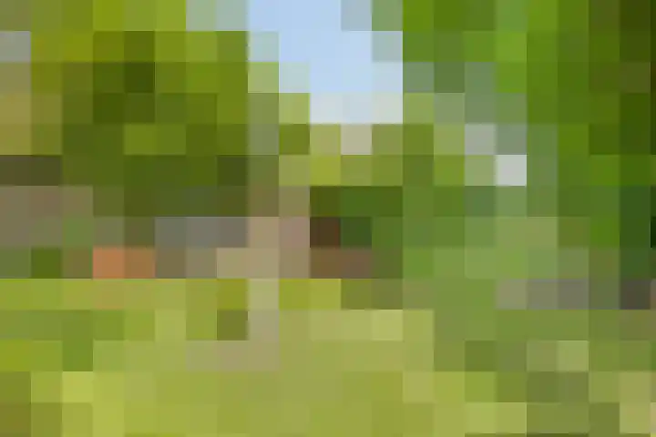 Hereweg 243 Meeden thumbnail 37