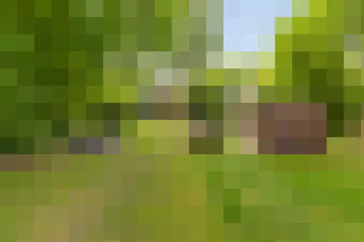Hereweg 243 Meeden thumbnail 38
