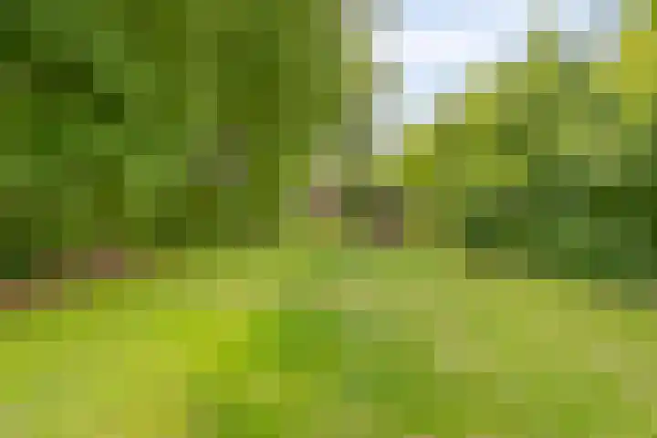 Hereweg 243 Meeden thumbnail 40