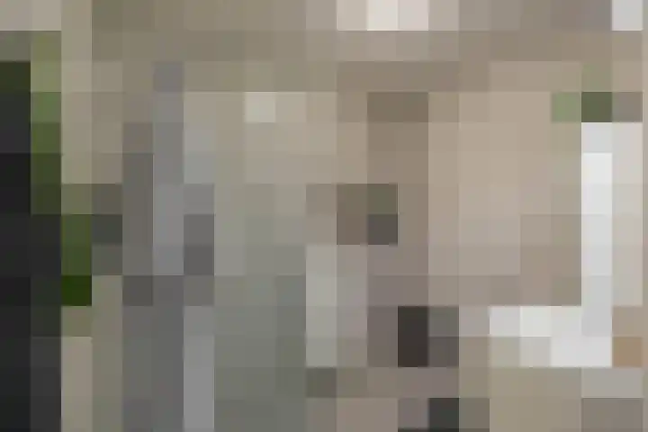 Hereweg 33 12 Groningen thumbnail 30