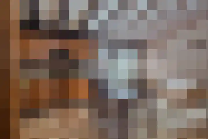 Hereweg 61 Bierum thumbnail 13