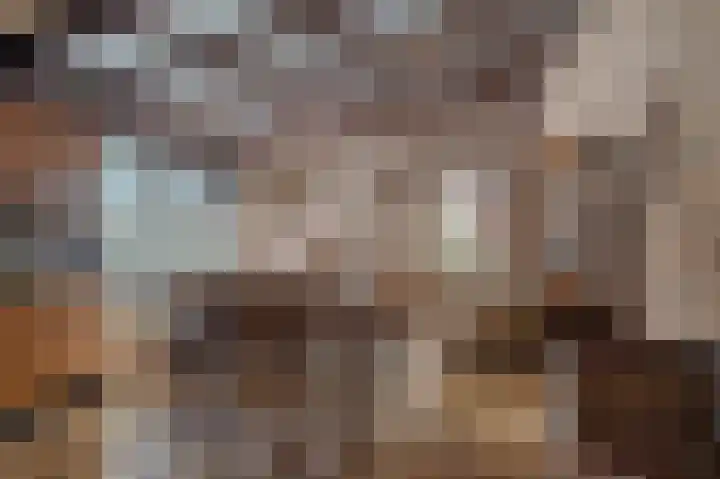 Hereweg 61 Bierum thumbnail 14