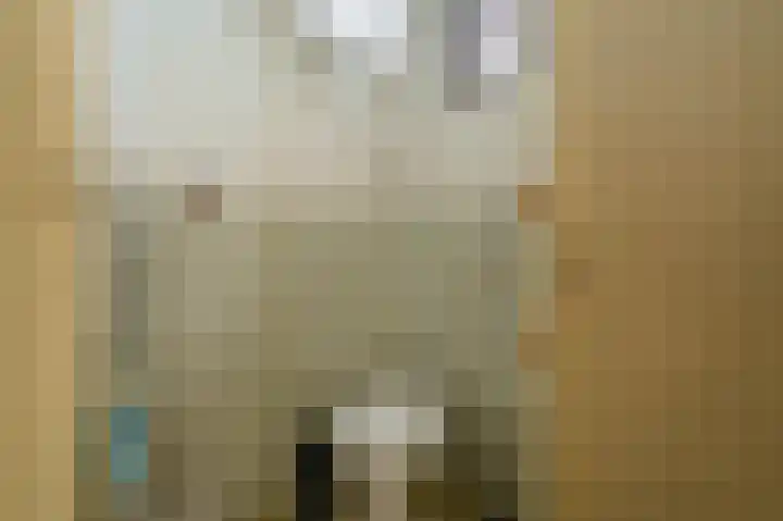 Hereweg 61 Bierum thumbnail 16