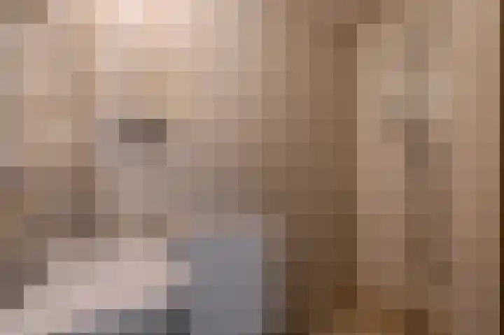 Hereweg 61 Bierum thumbnail 17
