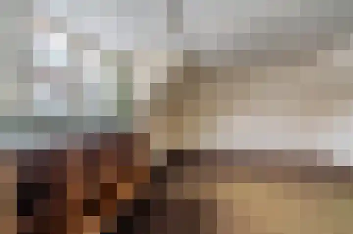 Hereweg 61 Bierum thumbnail 26