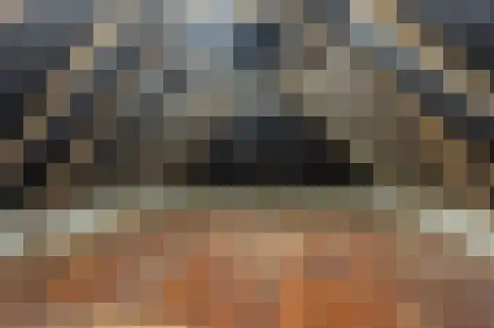 Hereweg 61 Bierum thumbnail 33