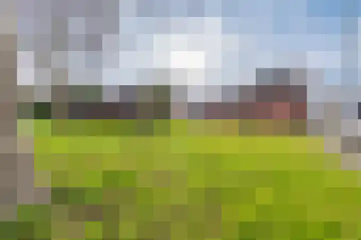 Hereweg 61 Bierum thumbnail 38