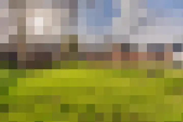 Hereweg 61 Bierum thumbnail 39