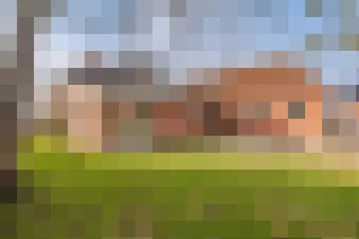 Hereweg 61 Bierum thumbnail 42