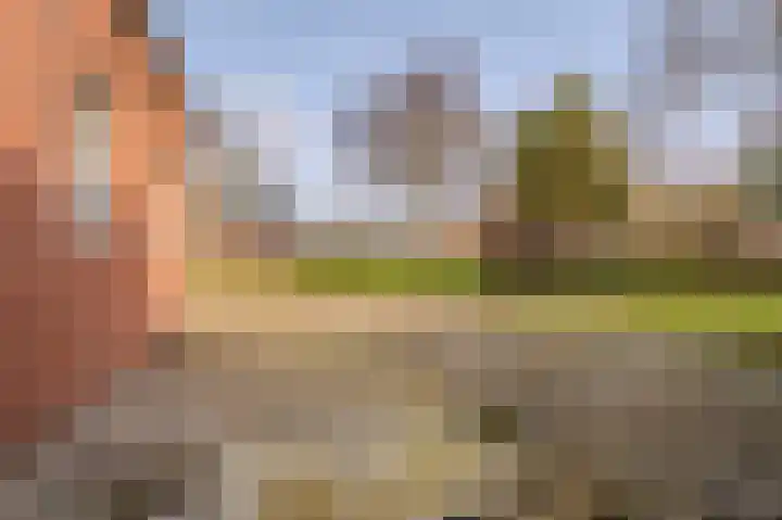 Hereweg 61 Bierum thumbnail 44