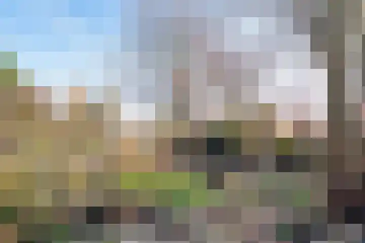 Hereweg 95 Landgraaf thumbnail 22
