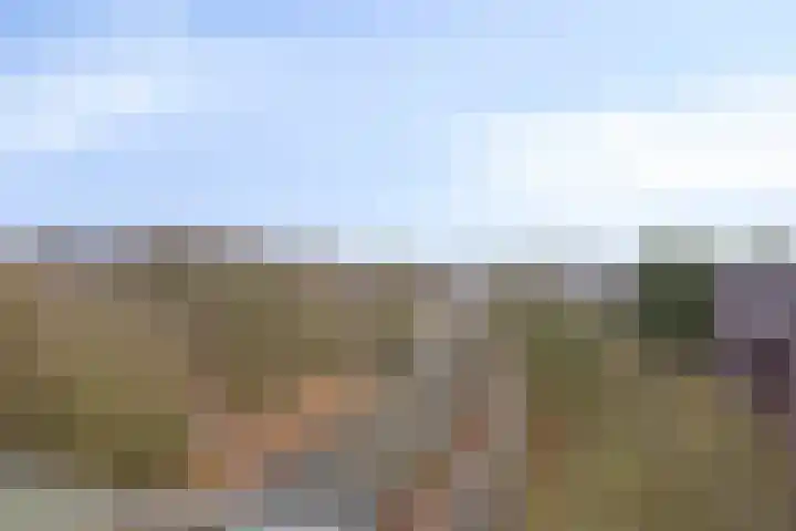 Hereweg 97 17 Groningen thumbnail 15