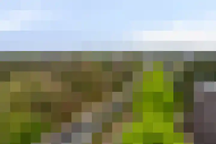 Hereweg 97 28 Groningen thumbnail 18