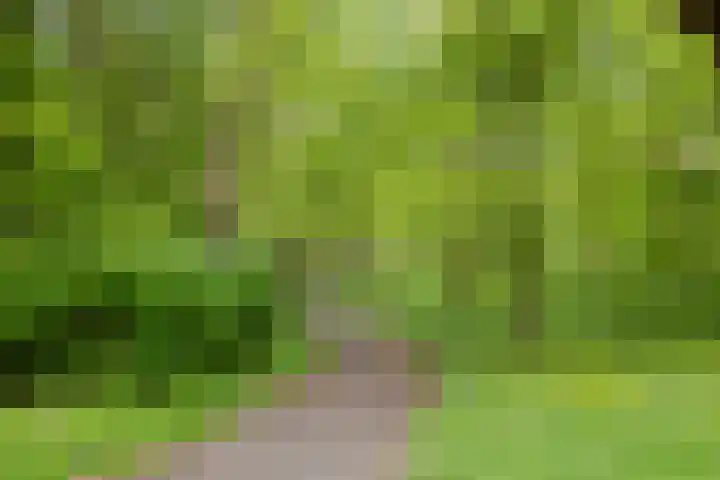 Hereweg 97 28 Groningen thumbnail 33