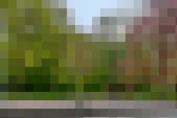 Hereweg 97 28 Groningen thumbnail 35