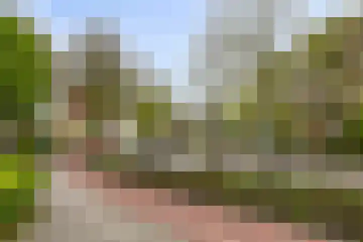 Hereweg 97 28 Groningen thumbnail 36
