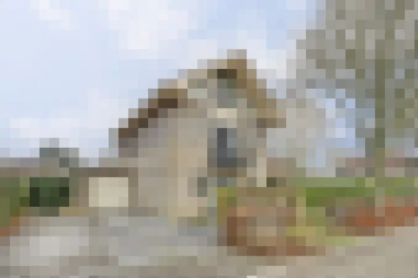 Herfst 120 in Dronten