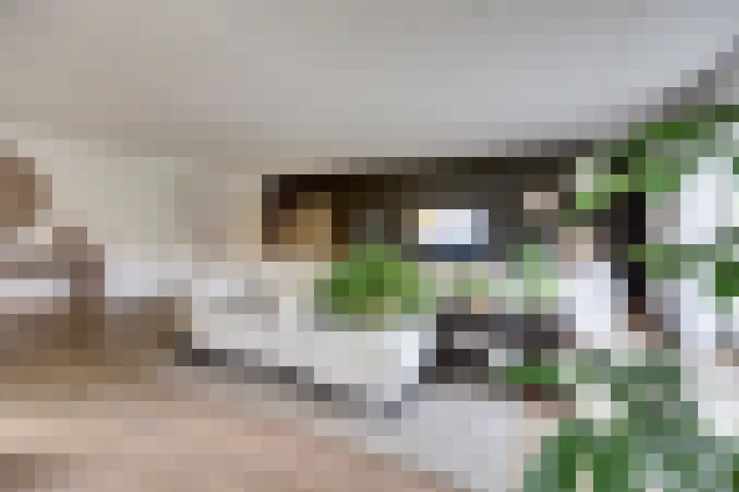 Herfst 120 Dronten thumbnail 9