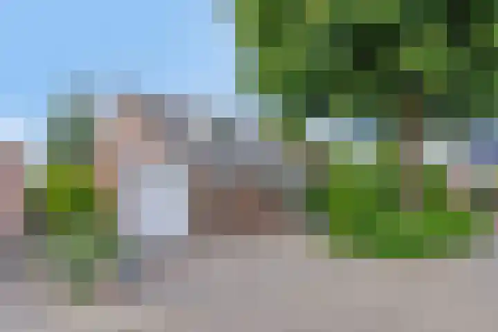 Herfst 24 en Dronten