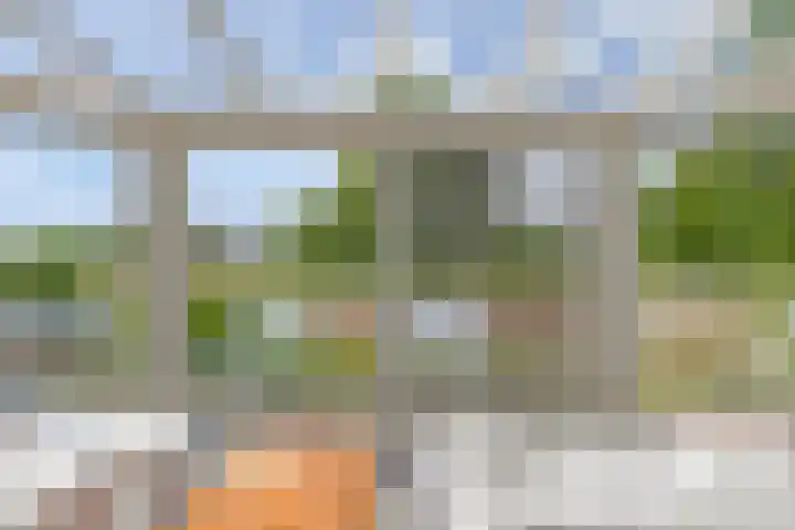 Herfst 24 Dronten thumbnail 14
