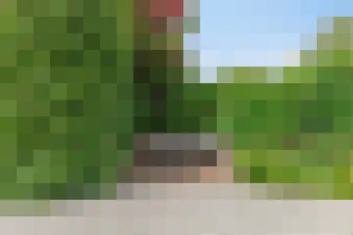 Herfst 24 Dronten thumbnail 36
