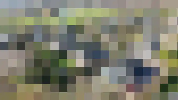 Herfst 52 Dronten thumbnail 55
