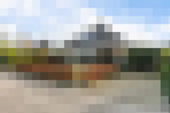 Herfst 52 Dronten thumbnail 8