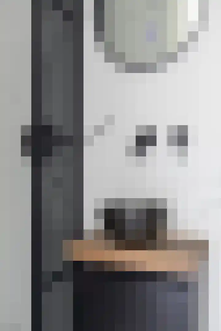 Herfst 61 Dronten thumbnail 11