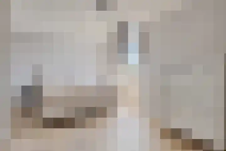 Herfst 61 Dronten thumbnail 23